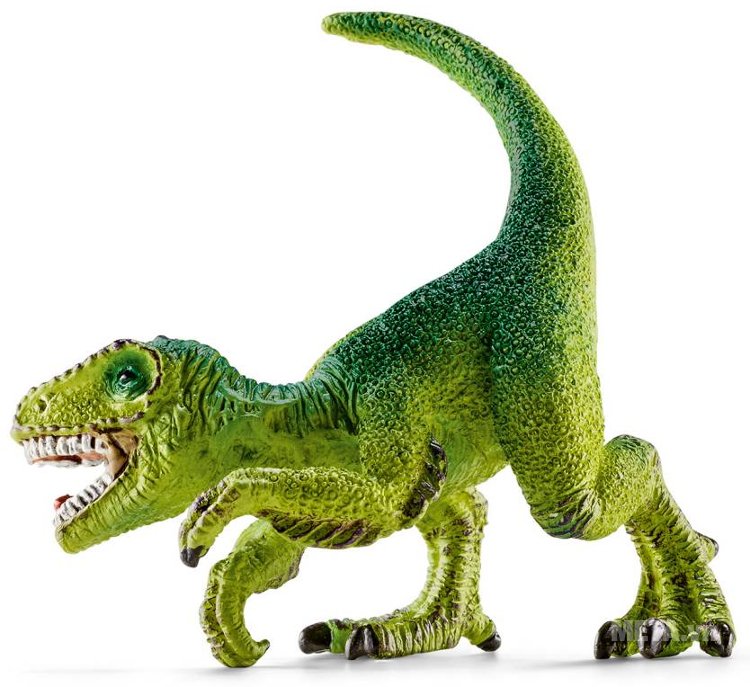 Giảm giá Mô hình động vật Schleich chính hãng Sư tử cái 14712 Schleich House BeeCost #31 Giảm giá Mô hình động vật Schleich chính hãng Sư tử cái 14712 Schleich House BeeCost