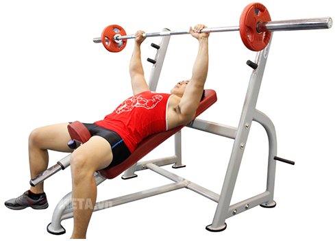 Ghế đẩy tạ bằng ngực trên Tiger Sport TG-220