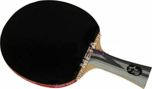 Vợt bóng bàn mút DHS 5002