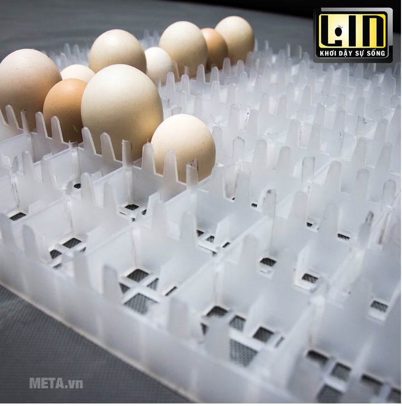 Máy ấp trứng Fuzzy VN LIN-50F