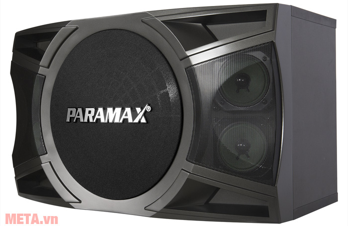 Loa karaoke Paramax P1000