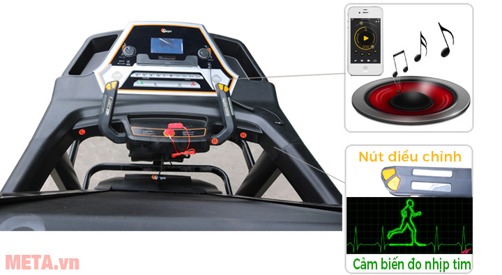 Máy chạy bộ điện gia đình Carpo AH508DS