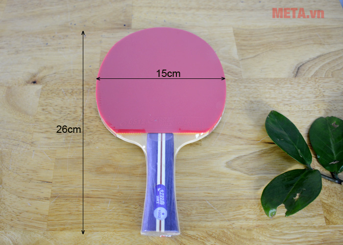 Vợt bóng bàn DHS 1002