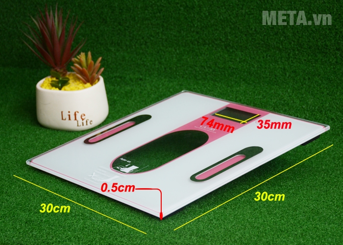 Cân sức khỏe và kiểm tra độ béo Camry EF971-S36