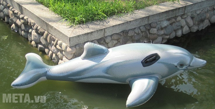 Phao bơi cá heo Intex 58535