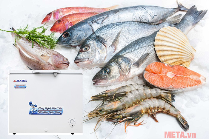 Tủ đông Alaska BD-300