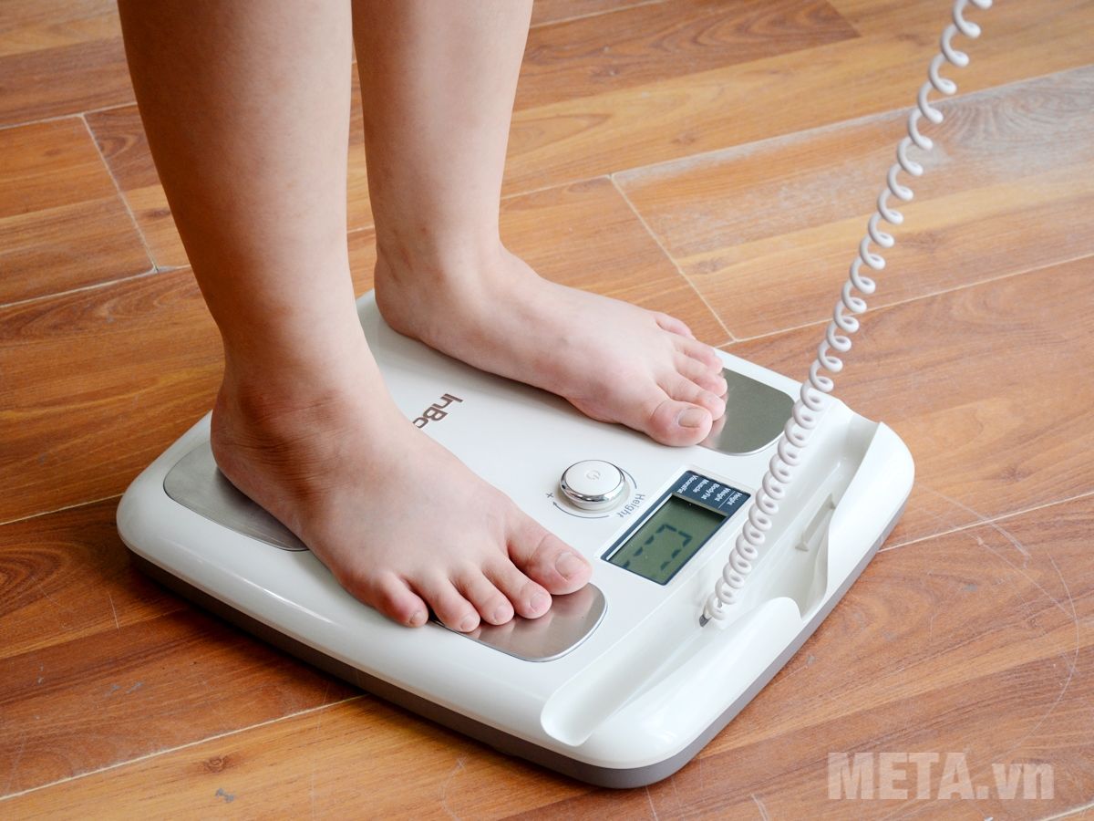 Máy phân tích thành phần cơ thể Inbody Dial (H20N) - META.vn