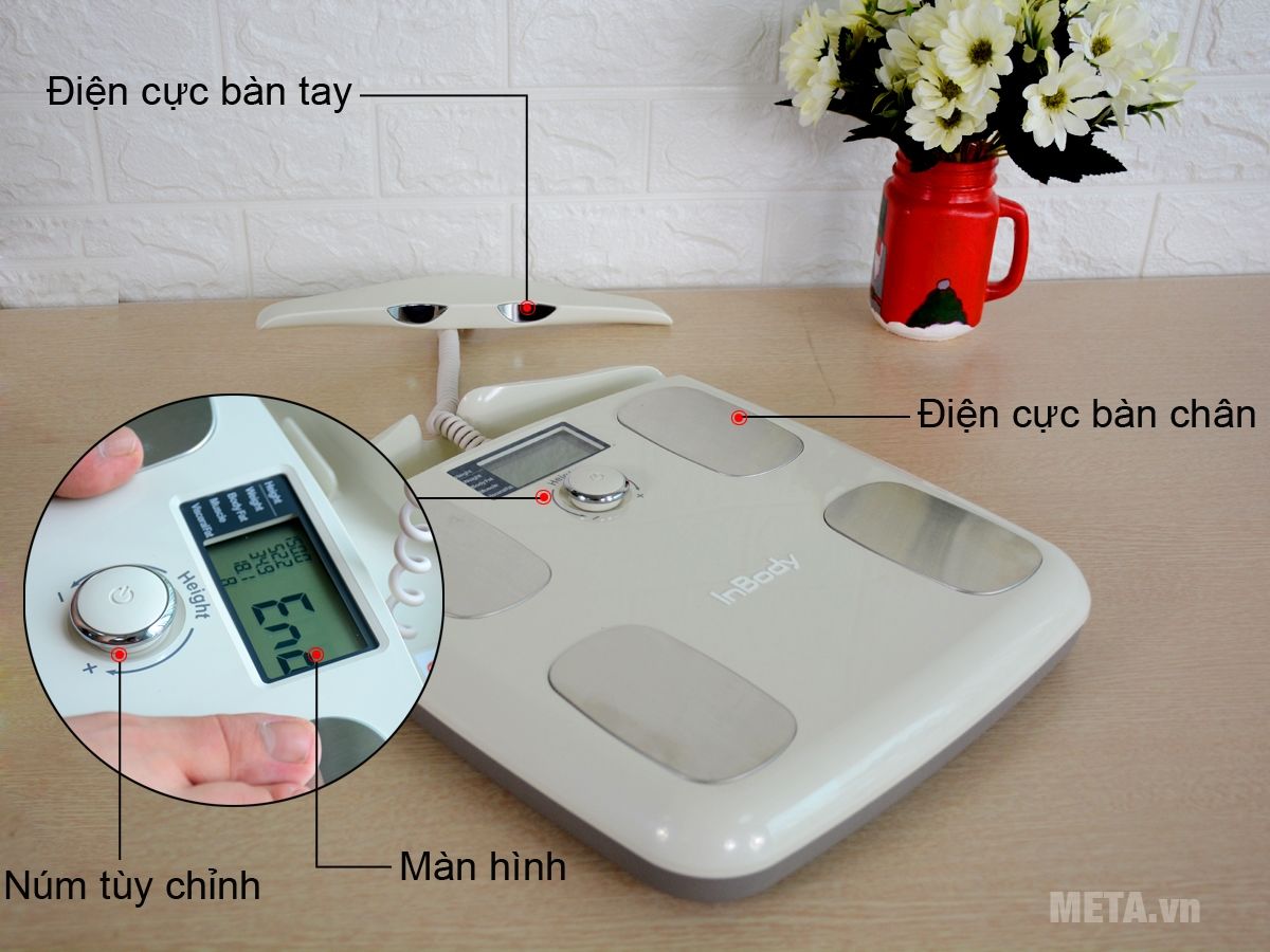 Máy phân tích thành phần cơ thể Inbody Dial (H20N) - META.vn