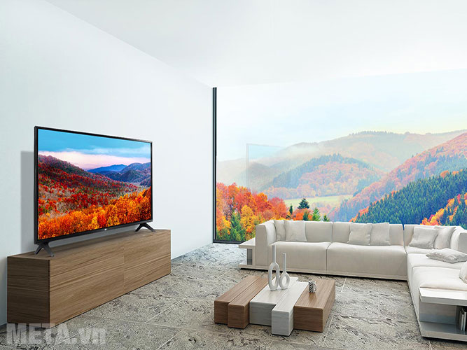 Smart Tivi LG Full HD 43 inch 43LK571C