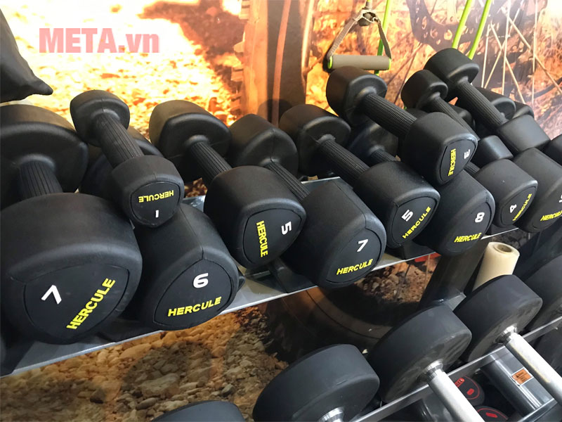 Tạ tay nữ Hercule cao cấp (100413S)