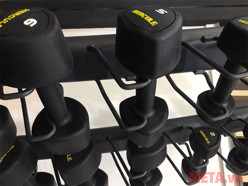 Tạ tay nữ Hercule cao cấp (100413S)