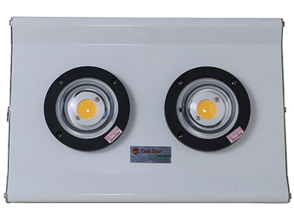 Đèn Led đánh cá Rạng Đông D DC04L/200W