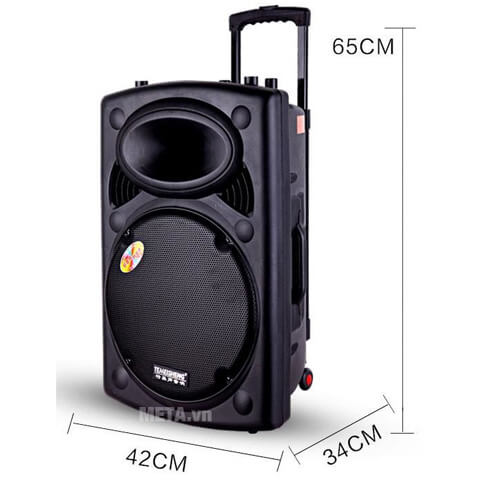 Loa di động Temeisheng 2305