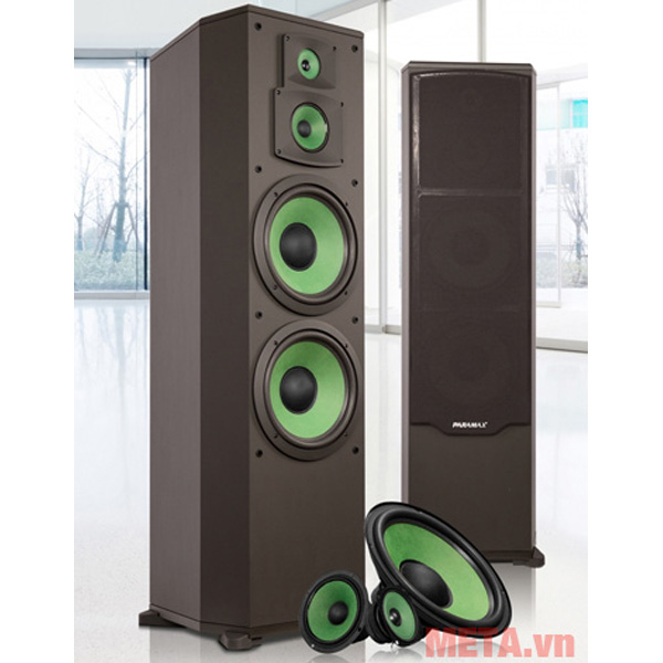 Loa Karaoke đứng Paramax F2000