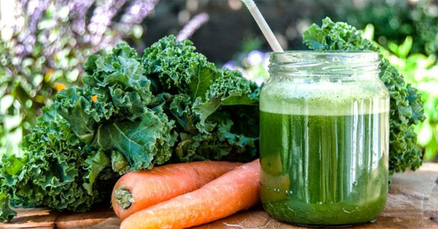 Cải kale là cải gì? 16 Tác dụng của cải xoăn kale với sức khỏe và 