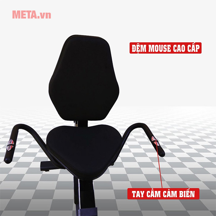 Xe đạp chèo thuyền Genus 102T