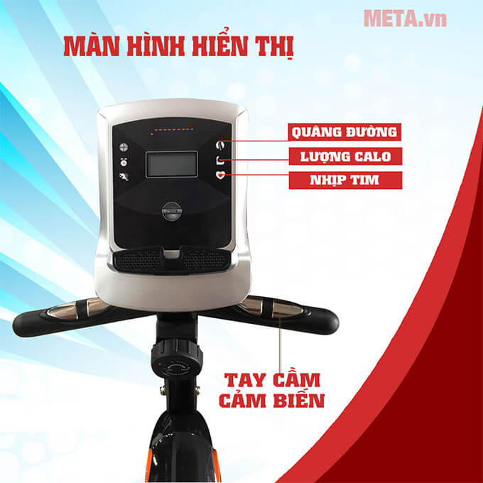 Xe đạp chèo thuyền Royal-581D