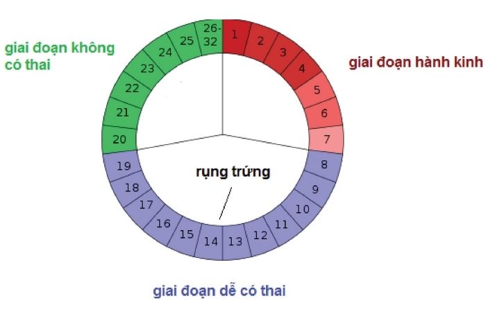 Chu Kỳ Kinh Nguyệt Bao Nhieu Ngay La Chuẩn Cach Tinh Chu Kỳ Kinh Nguyệt Cực đơn Giản Meta Vn