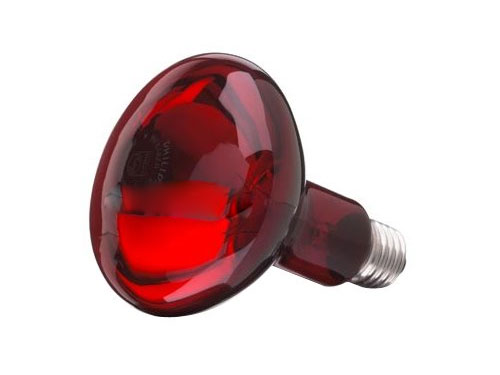 Bóng đèn hồng ngoại 100W