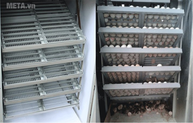 Máy ấp trứng Mactech 1000 trứng MAP1000PS (MT1000PS)