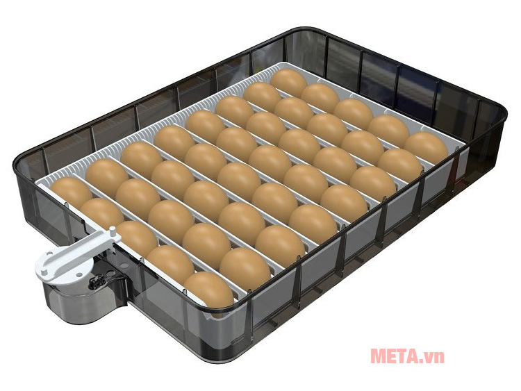 Máy ấp trứng LIN Mark 40 (2 tầng, 80 - 100 trứng)