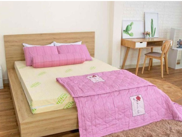 Nệm cao su thiên nhiên TATANA STANDARD dày 10cm