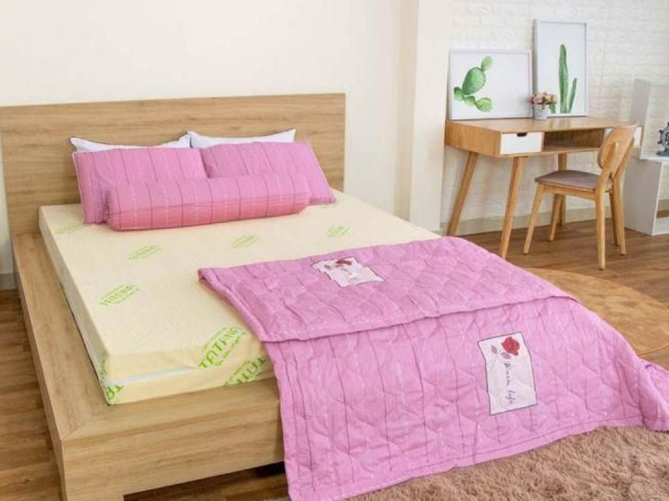Nệm cao su thiên nhiên Tatana STANDARD dày 5cm