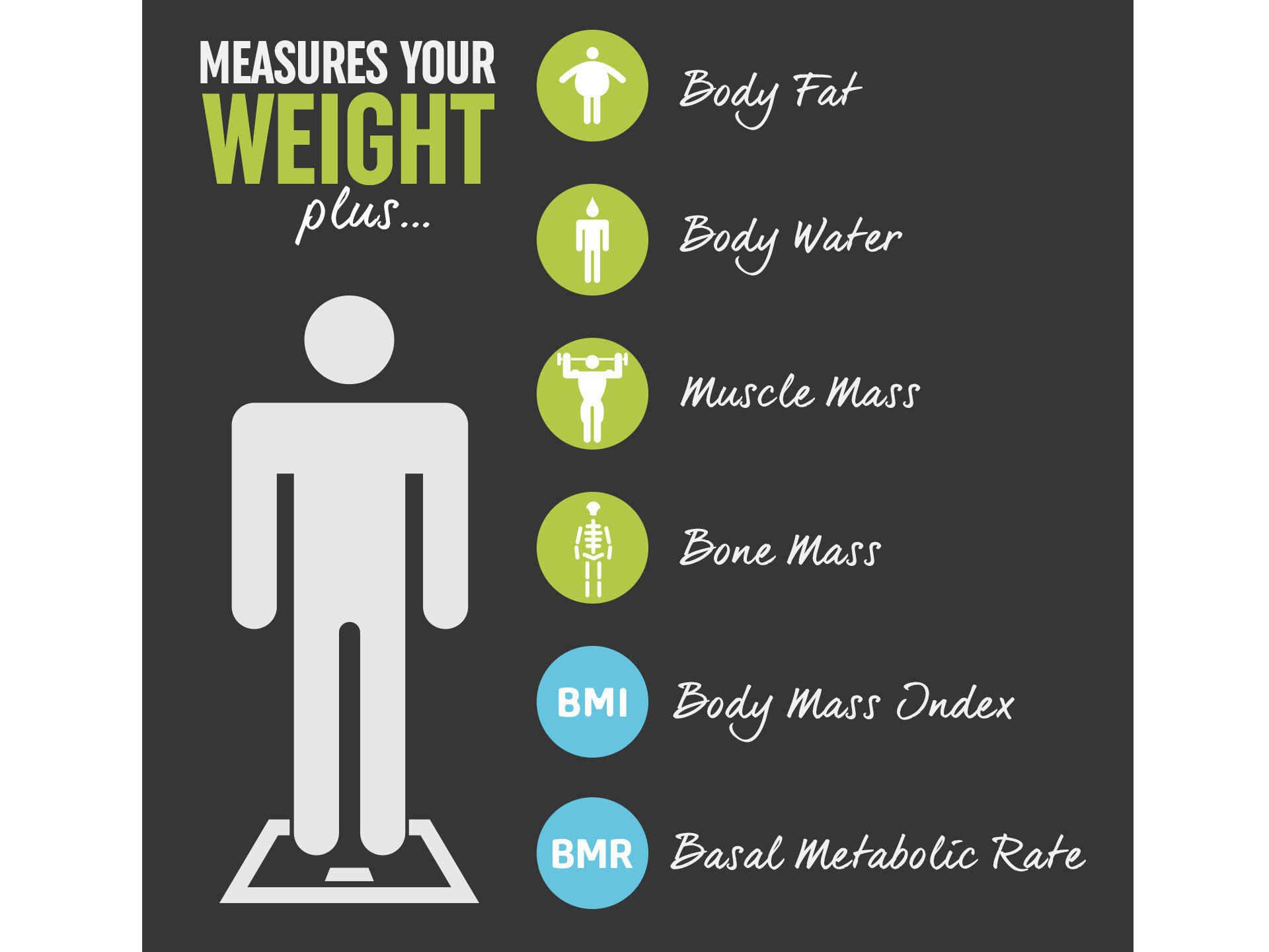 Cân phân tích Salter 9164 WH3R