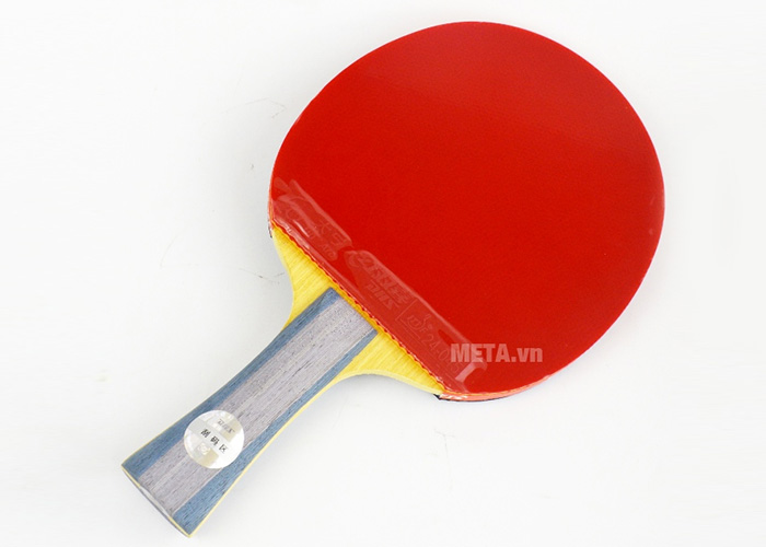 Vợt bóng bàn mút DHS-6002