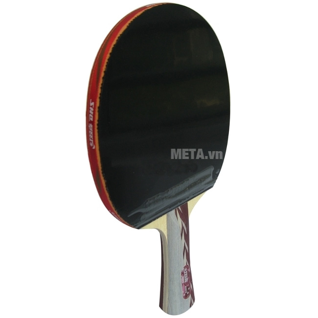 Vợt bóng bàn mút DHS-4002