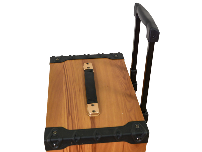 Loa kéo MTP M-10T (2 mic)