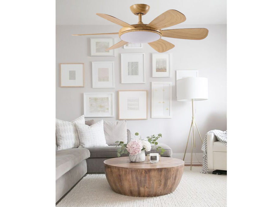 Quạt trần đèn 6 cánh TCL F6661 (đường kính 132cm)