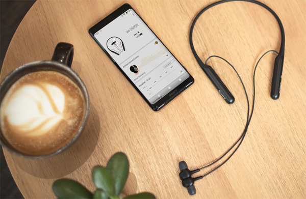 Tai nghe không dây nhét tai Sony WI-C600N