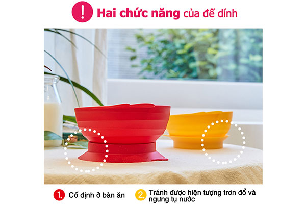 Set tô lớn đế dính thìa dĩa làm từ nhựa sinh học dừa