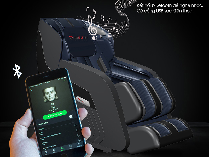 Ghế massage Hasuta HMC-820