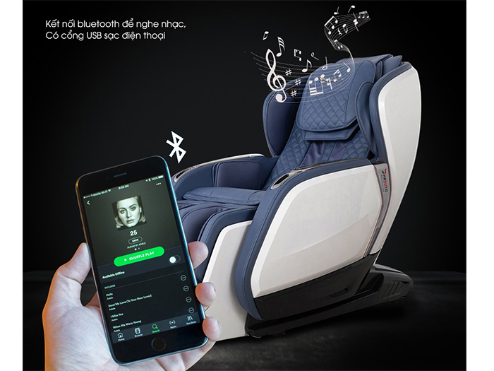 Ghế massage Hasuta HMC-660