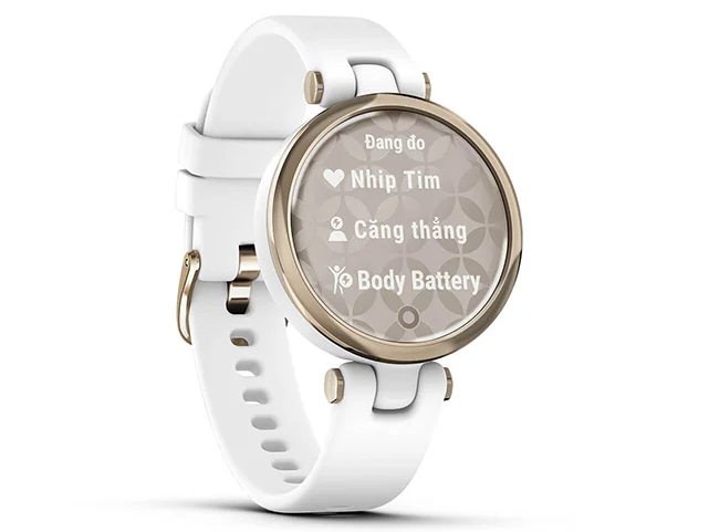 Đồng hồ thông minh Garmin Lily (010-02384)