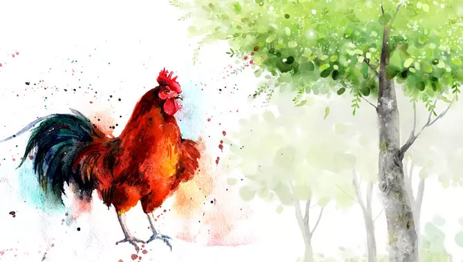 Dậu là con gì, mệnh gì? Tuổi Dậu hợp màu gì, hợp với tuổi gì? - META.vn