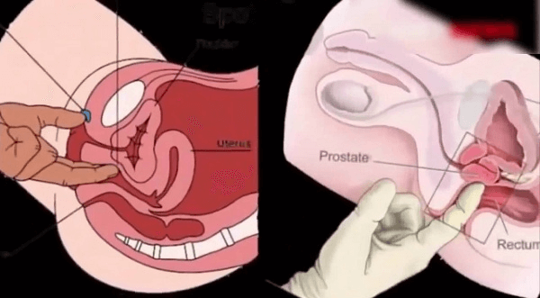 Cách tìm điểm G của nữ giới
