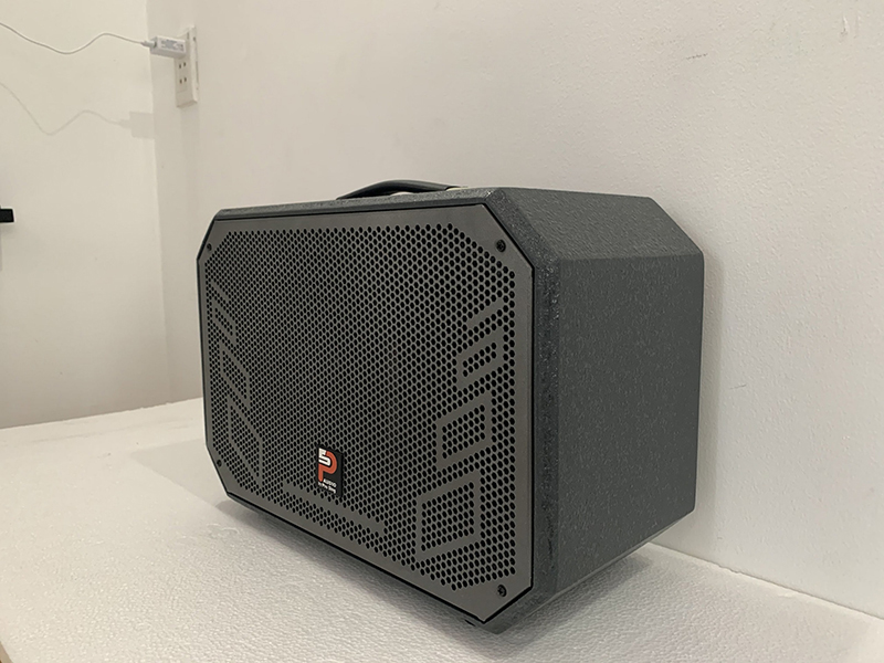 Loa di động Karaoke xách tay Prosing W8-ALISA