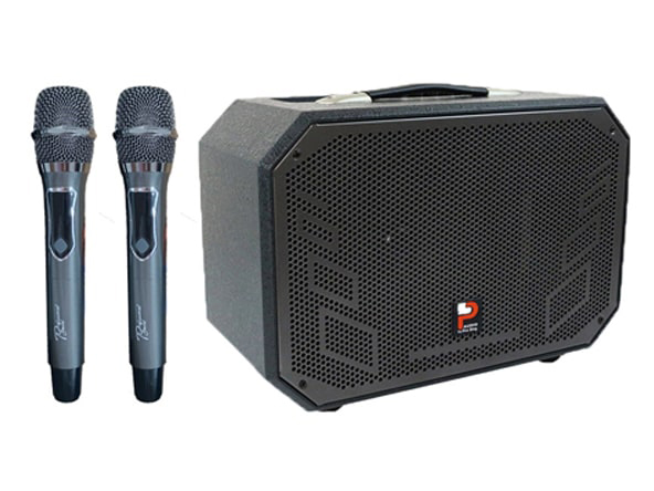 Loa di động Karaoke xách tay Prosing W8-ALISA