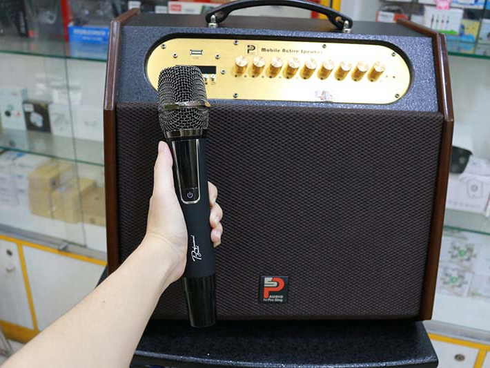Loa di động Karaoke xách tay Prosing W8 Rapper