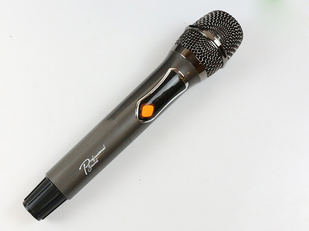 Loa di động karaoke xách tay Prosing W8 Silver E