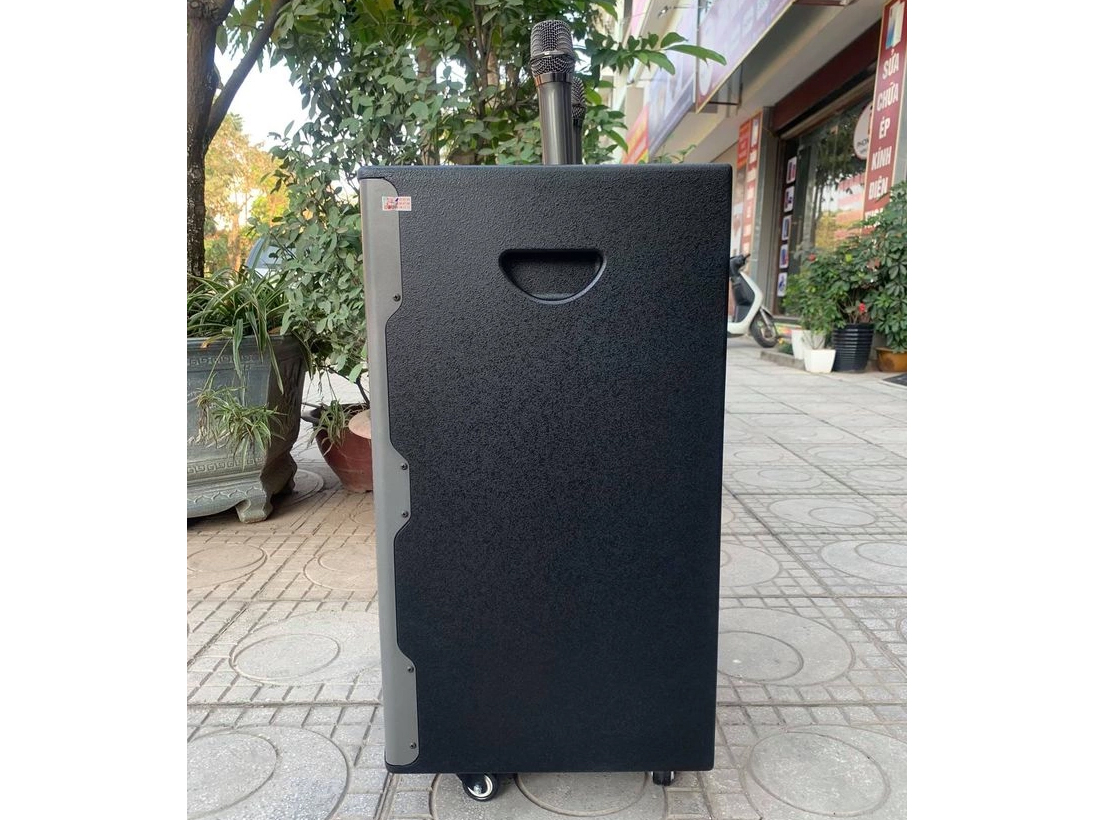 Loa karaoke không dây Prosing W15 VN