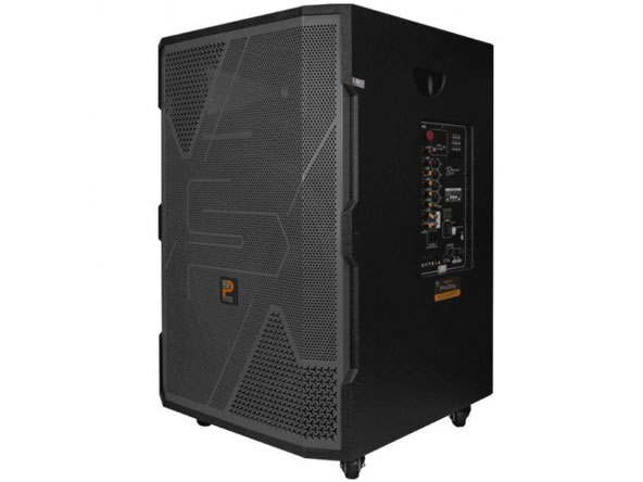 Loa Karaoke không dây Prosing W2US