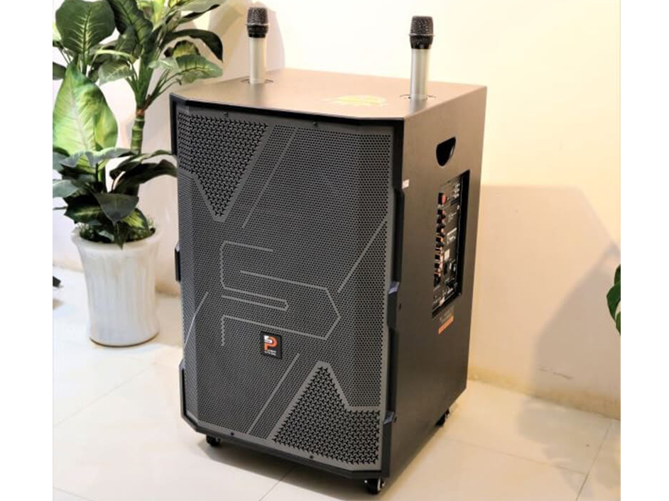 Loa Karaoke không dây Prosing W2US