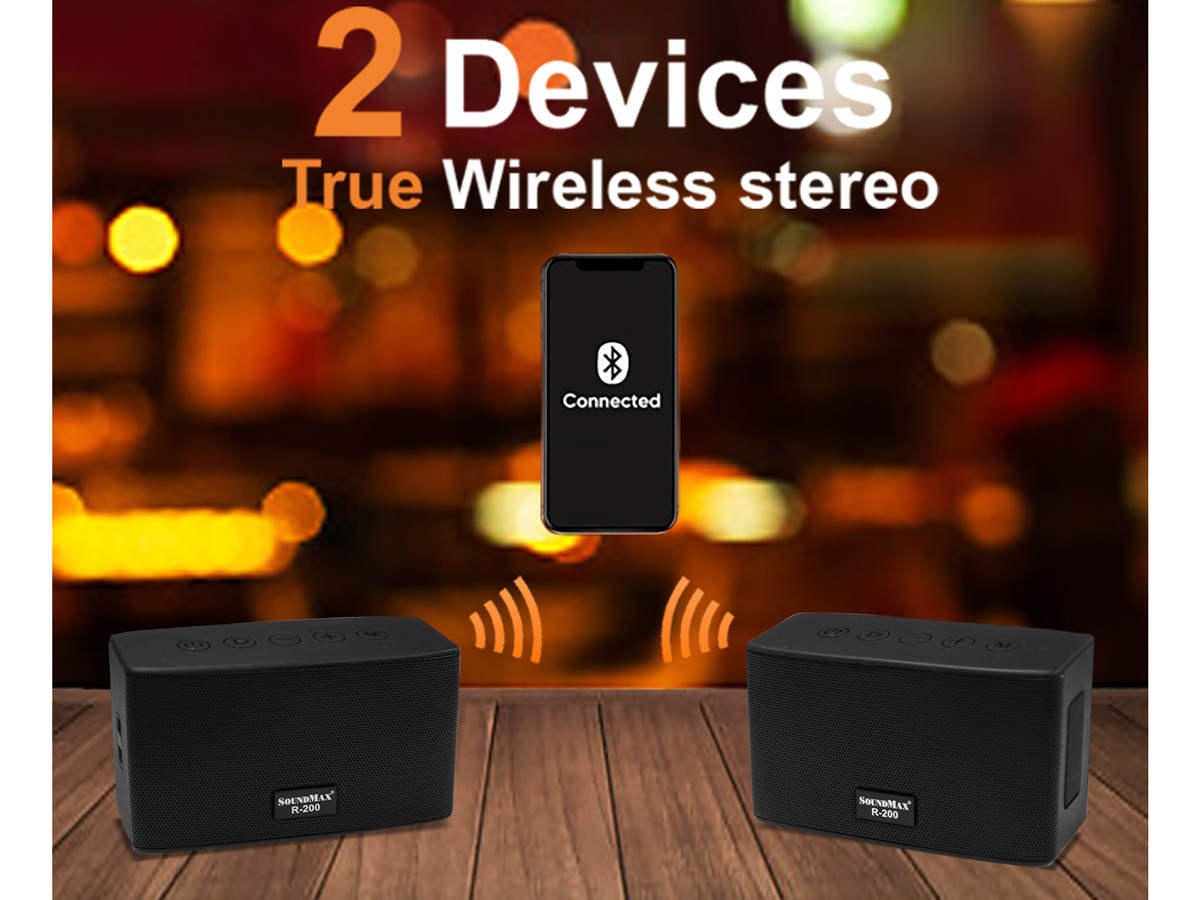 Loa di động Soundmax R-200