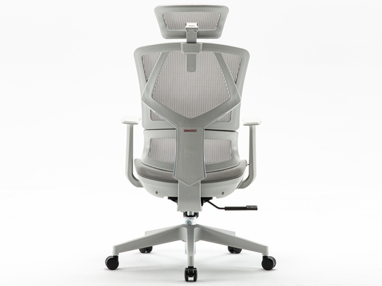 Ghế công thái học Sihoo M91C