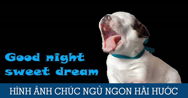 50 Hình ảnh chúc ngủ ngon cực đẹp, hài hước, dễ thương ...