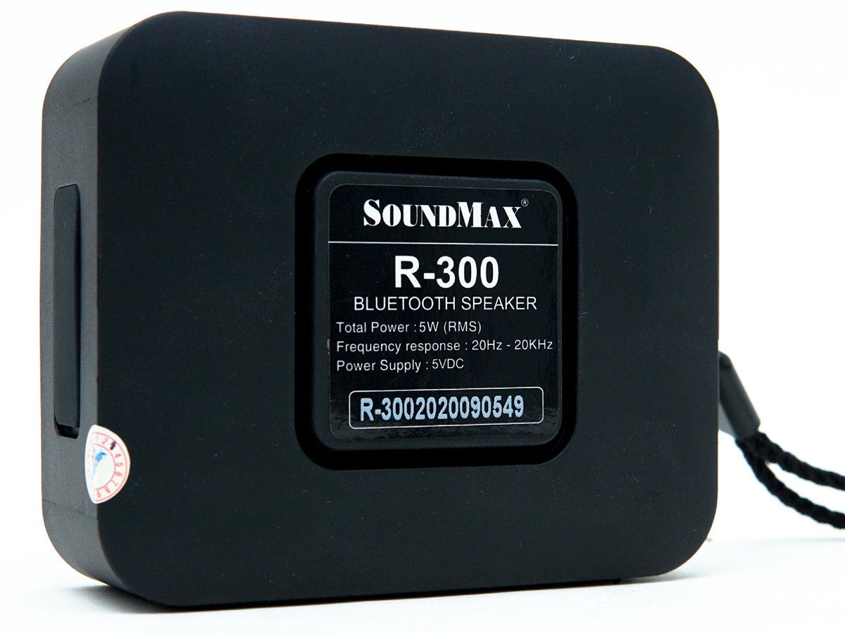 Loa di động SoundMax R-300